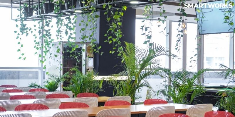 Sustainable offices